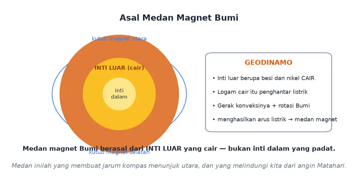 Inti luar cair yang bergerak membangkitkan medan magnet bumi secara geodinamo