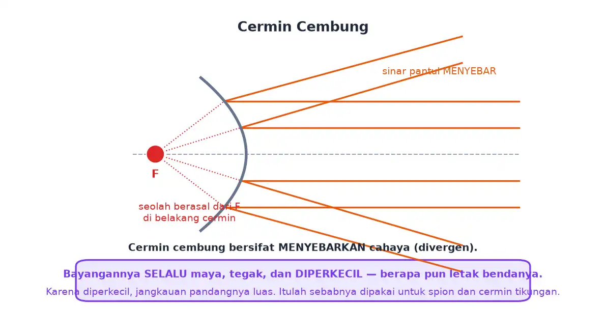 Cermin cembung menyebarkan sinar sejajar seolah berasal dari titik fokus di belakang cermin