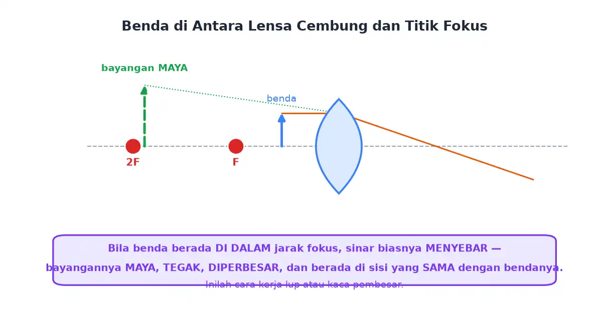 Benda diletakkan di antara lensa cembung dan titik fokus menghasilkan bayangan maya tegak diperbesar
