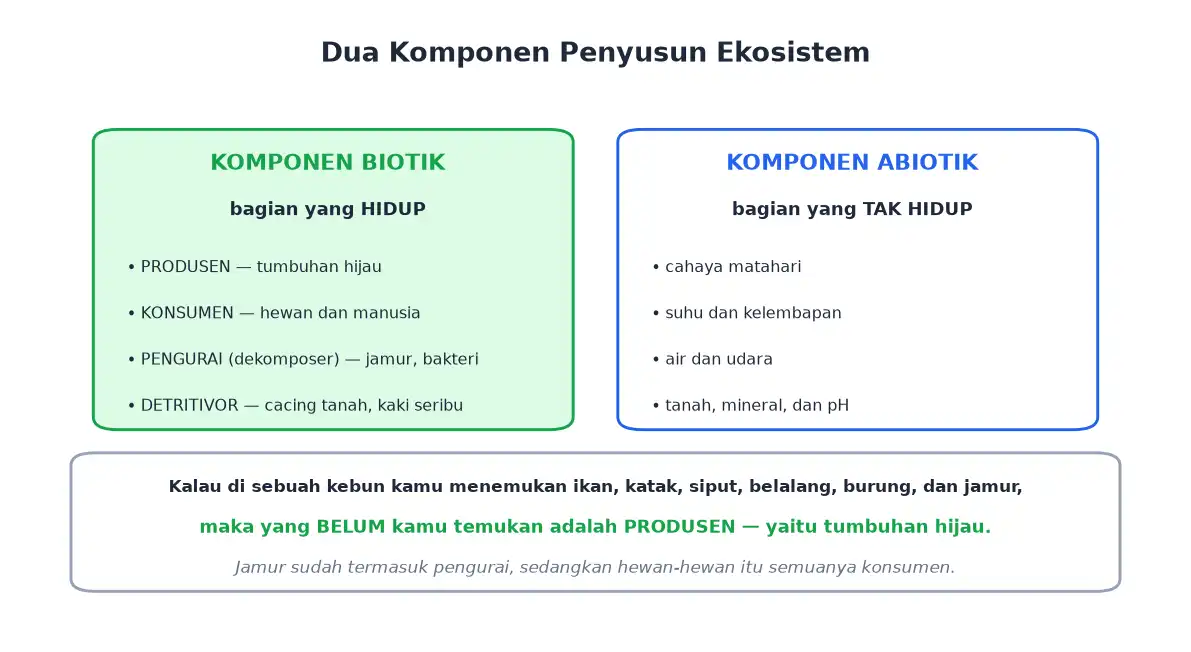 Komponen biotik produsen konsumen pengurai detritivor dan komponen abiotik