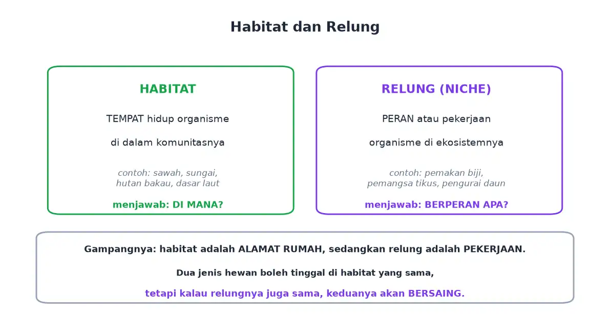 Perbandingan habitat sebagai tempat hidup dengan relung sebagai peran