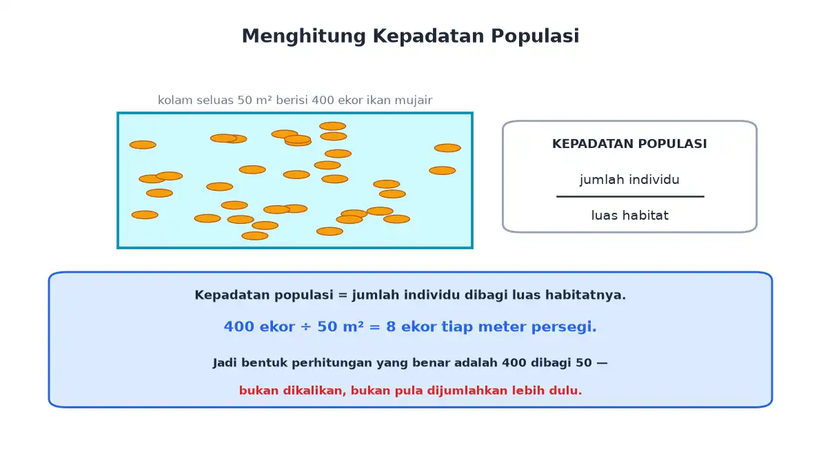 Kolam berisi ikan dan rumus kepadatan populasi jumlah individu dibagi luas habitat