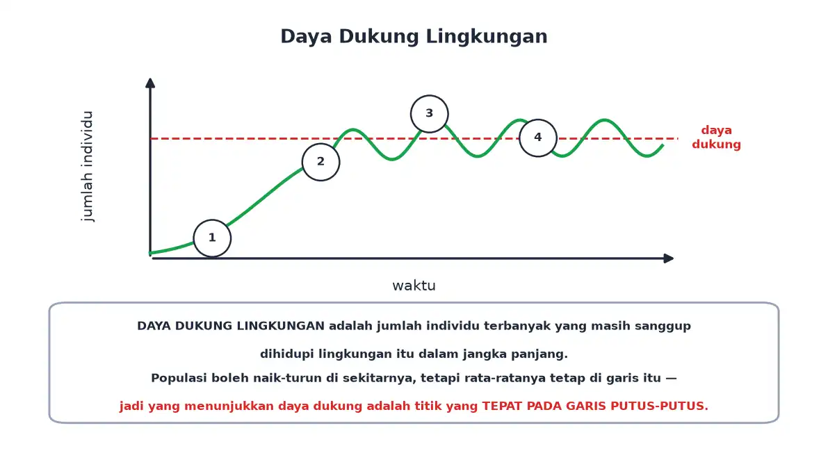 Grafik populasi naik lalu berosilasi di sekitar garis daya dukung