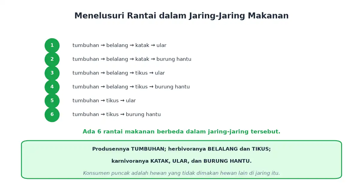 Daftar enam jalur rantai makanan dalam satu jaring-jaring