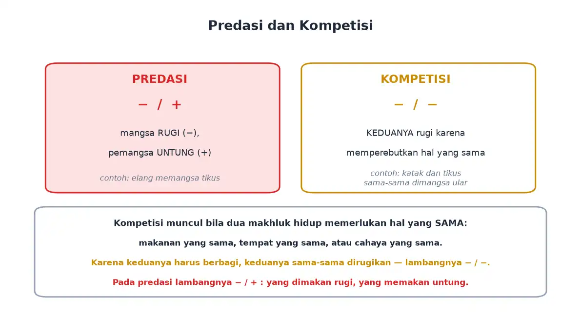 Lambang predasi minus per plus dan kompetisi minus per minus