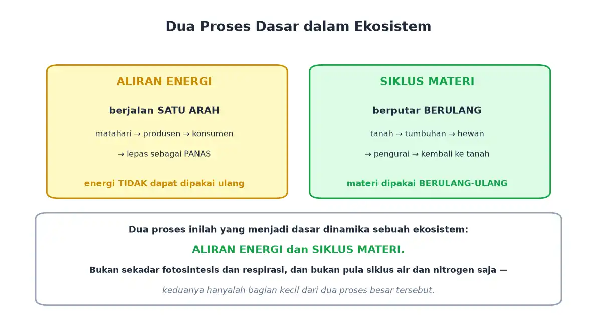 Perbandingan aliran energi satu arah dengan siklus materi yang berulang