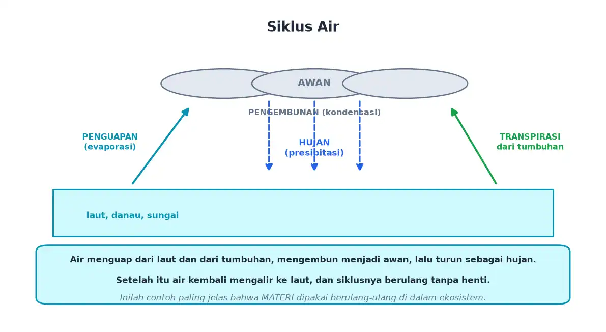 Siklus air penguapan transpirasi pengembunan dan hujan