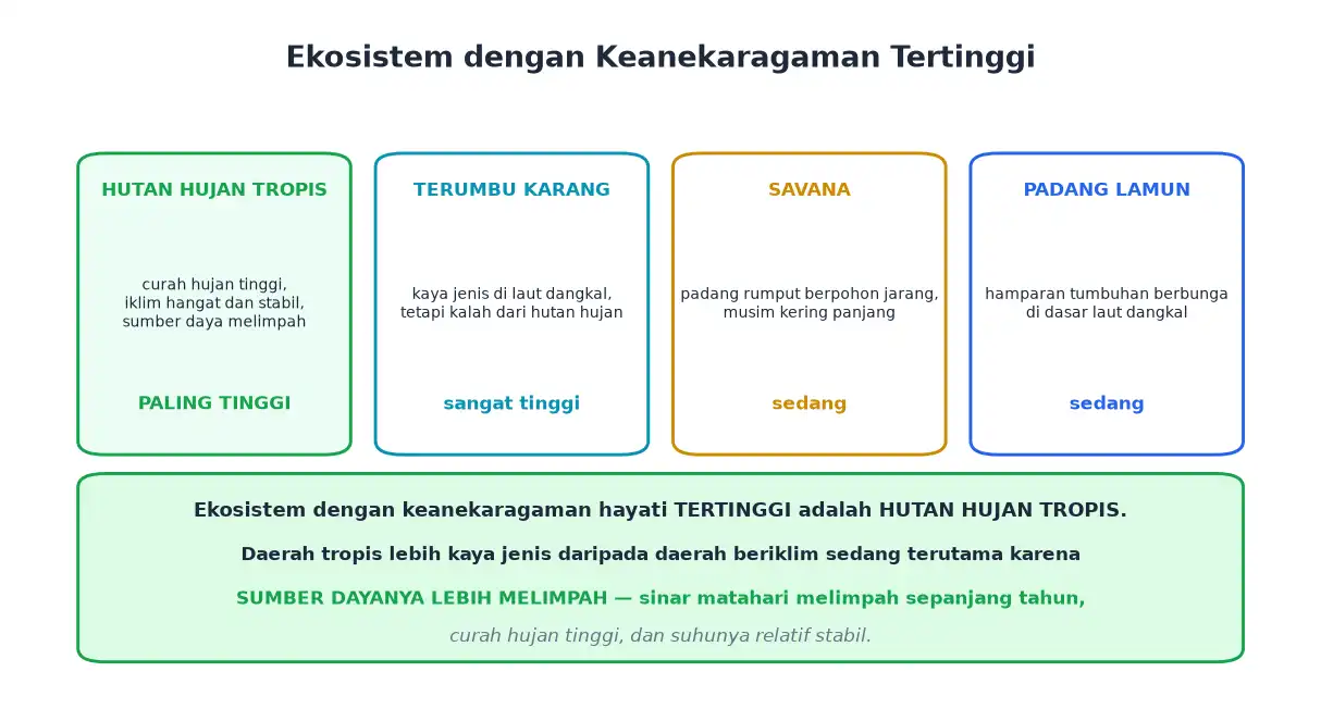 Perbandingan hutan hujan tropis terumbu karang savana dan padang lamun