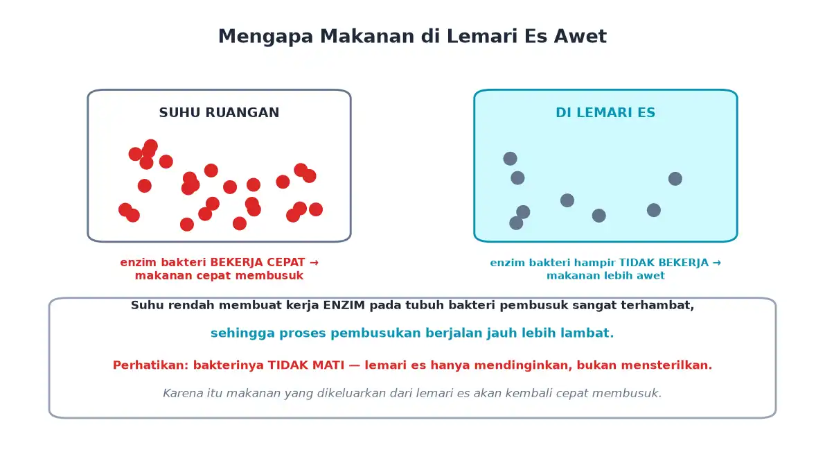 Perbandingan jumlah bakteri aktif pada suhu ruangan dan di lemari es