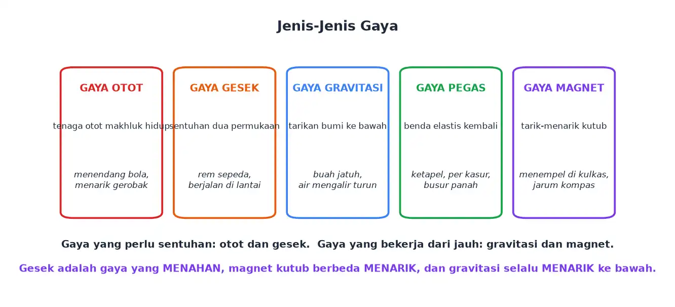 Lima jenis gaya yaitu gaya otot gesek gravitasi pegas dan magnet beserta contohnya