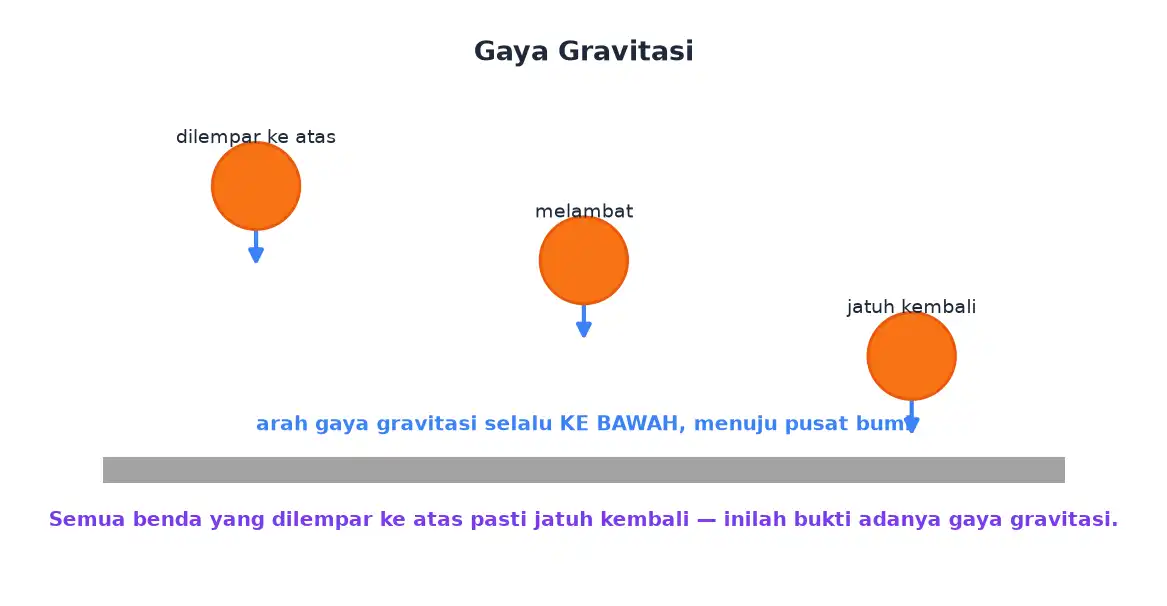 Bola yang dilempar ke atas melambat lalu jatuh kembali karena gaya gravitasi