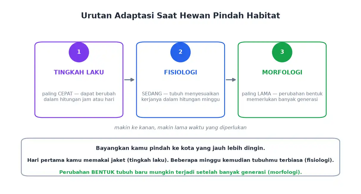 Urutan adaptasi tingkah laku fisiologi lalu morfologi menurut lamanya waktu
