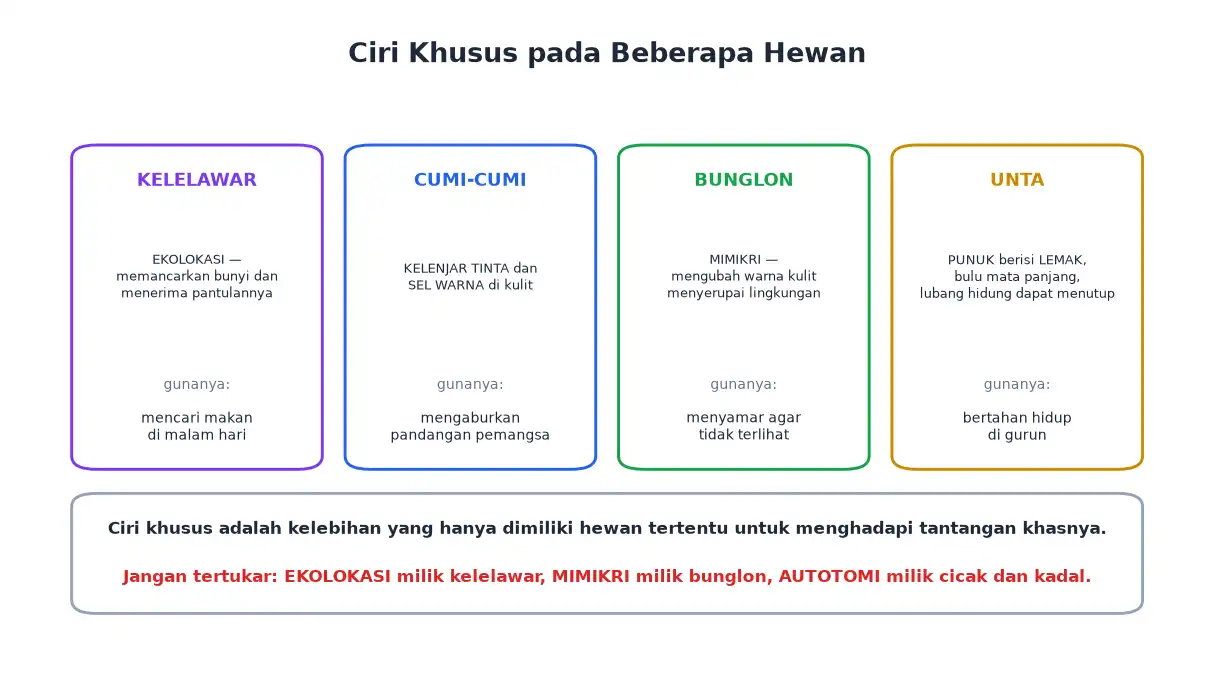 Ciri khusus kelelawar cumi-cumi bunglon dan unta