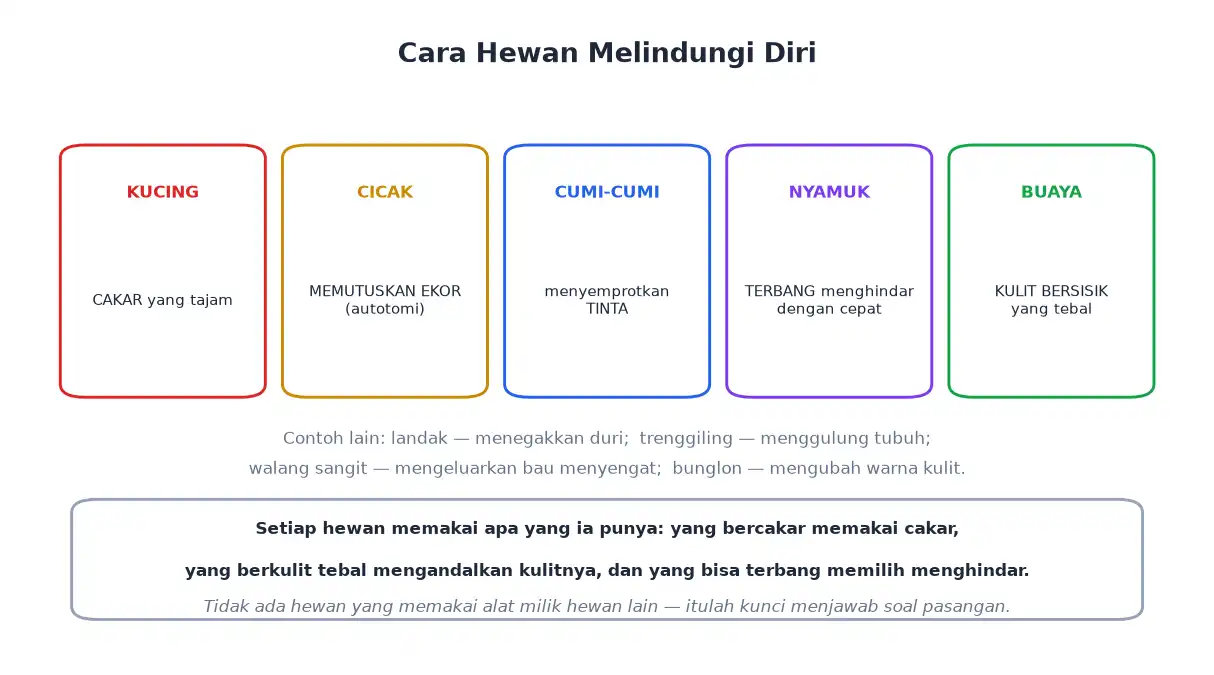 Alat pelindung diri kucing cicak cumi-cumi nyamuk dan buaya