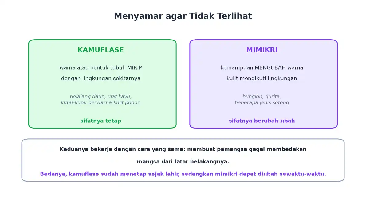Perbandingan kamuflase yang menetap dengan mimikri yang berubah-ubah