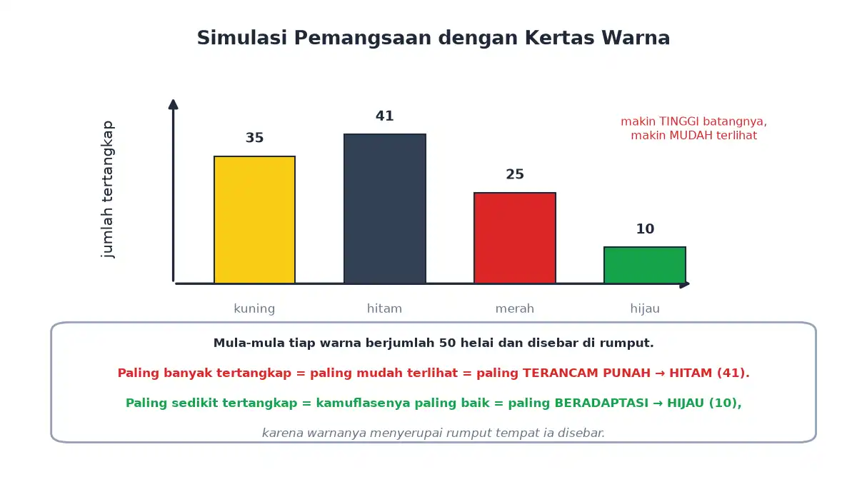 Grafik batang jumlah kertas warna yang tertangkap dalam simulasi pemangsaan