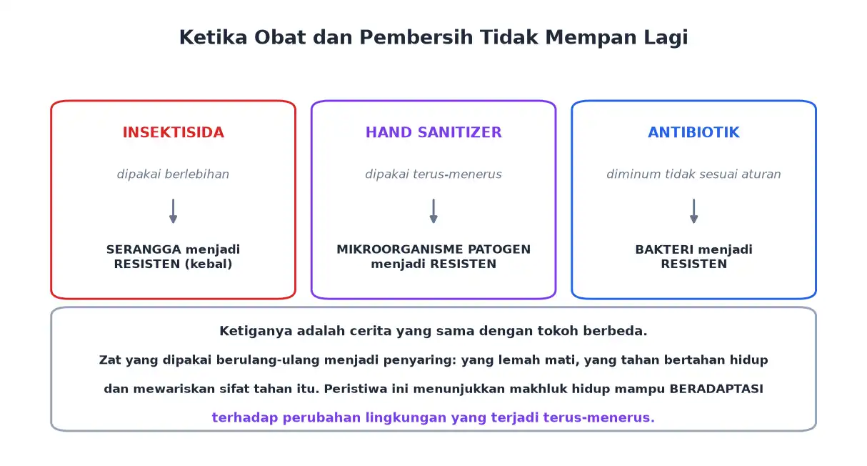 Resistensi akibat insektisida hand sanitizer dan antibiotik