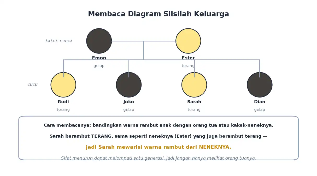 Diagram silsilah keluarga dengan warna rambut gelap dan terang
