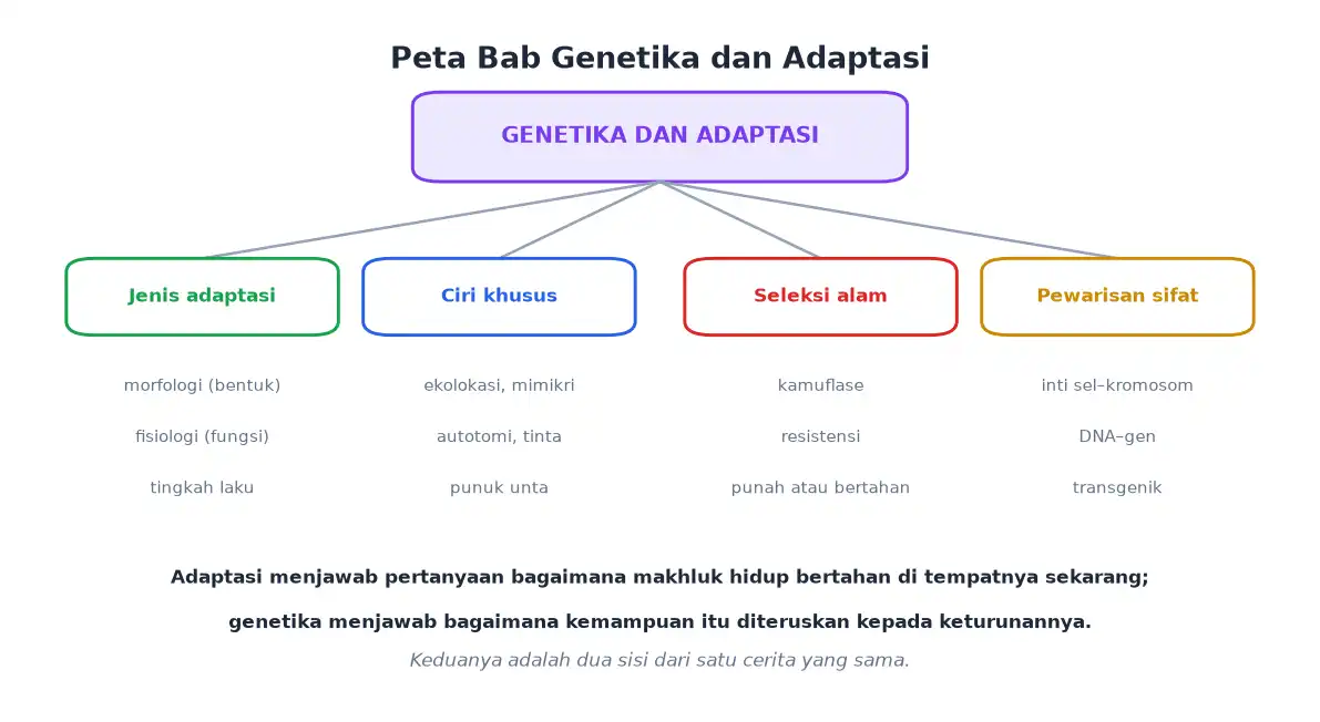 Peta bab jenis adaptasi ciri khusus seleksi alam dan pewarisan sifat