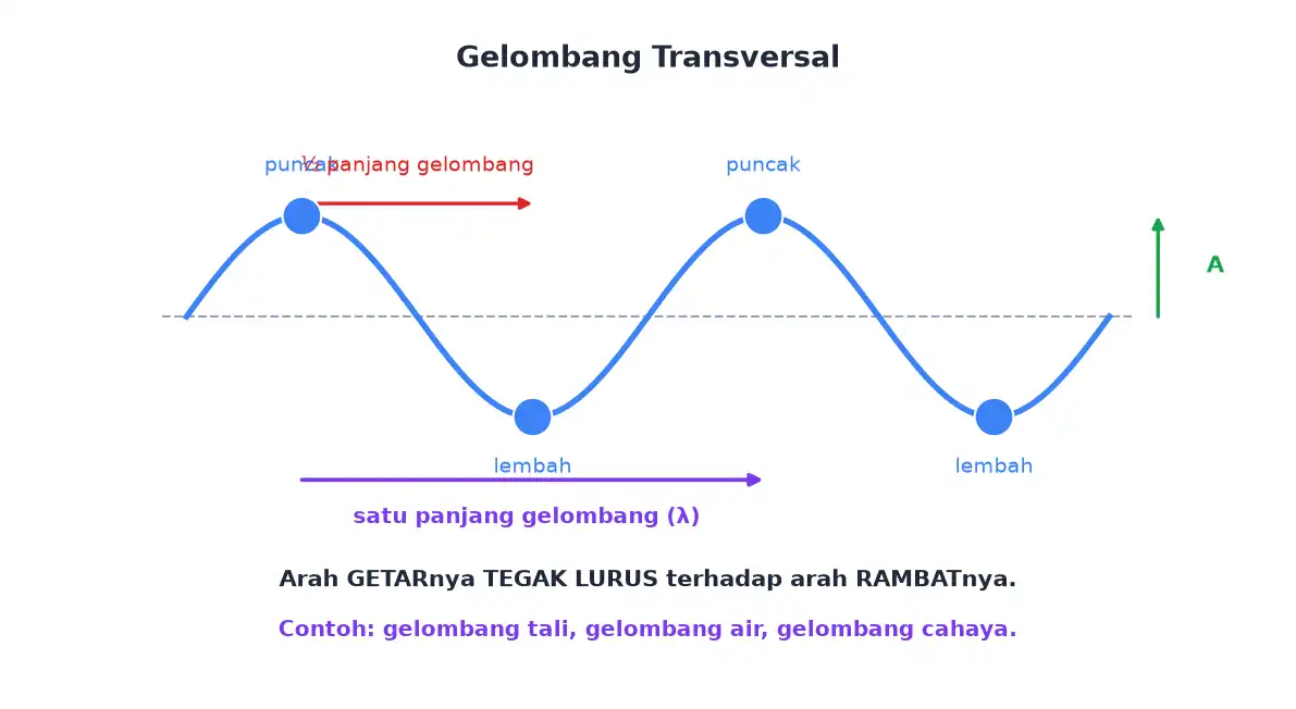 Gelombang transversal dengan puncak lembah panjang gelombang dan amplitudo