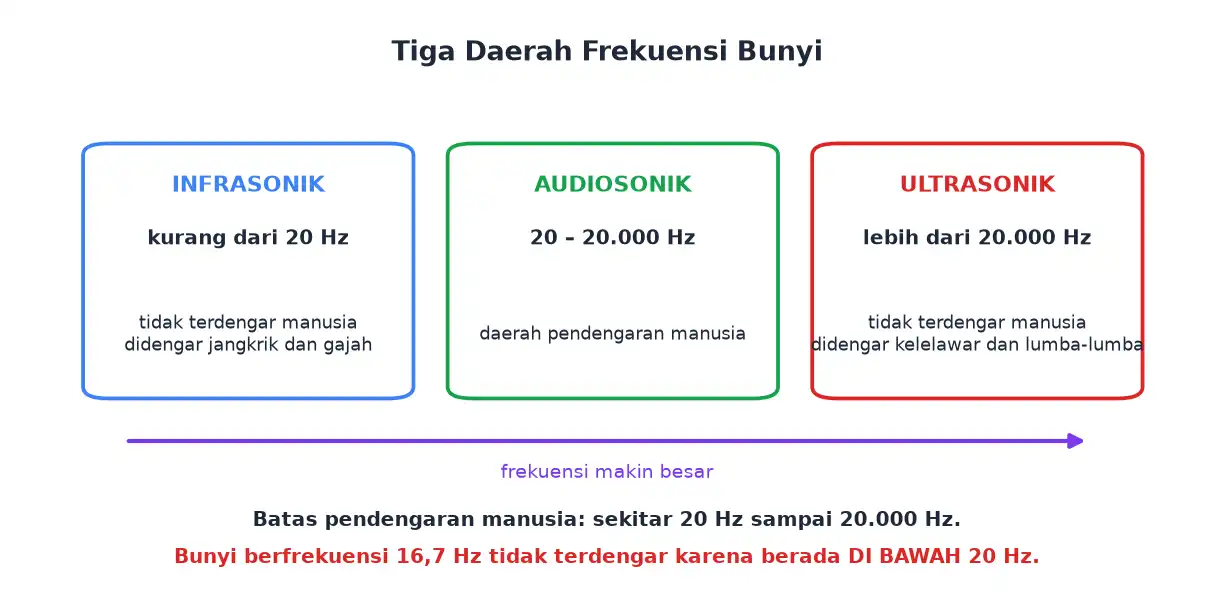 Tiga daerah frekuensi bunyi yaitu infrasonik audiosonik dan ultrasonik