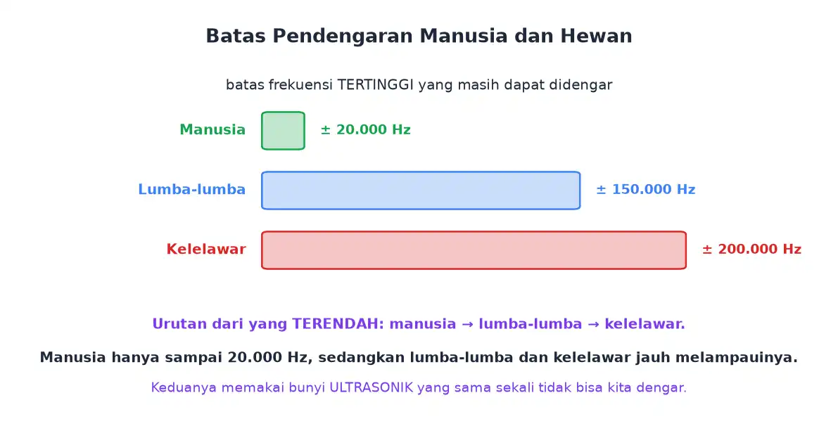 Perbandingan batas frekuensi tertinggi pendengaran manusia lumba-lumba dan kelelawar