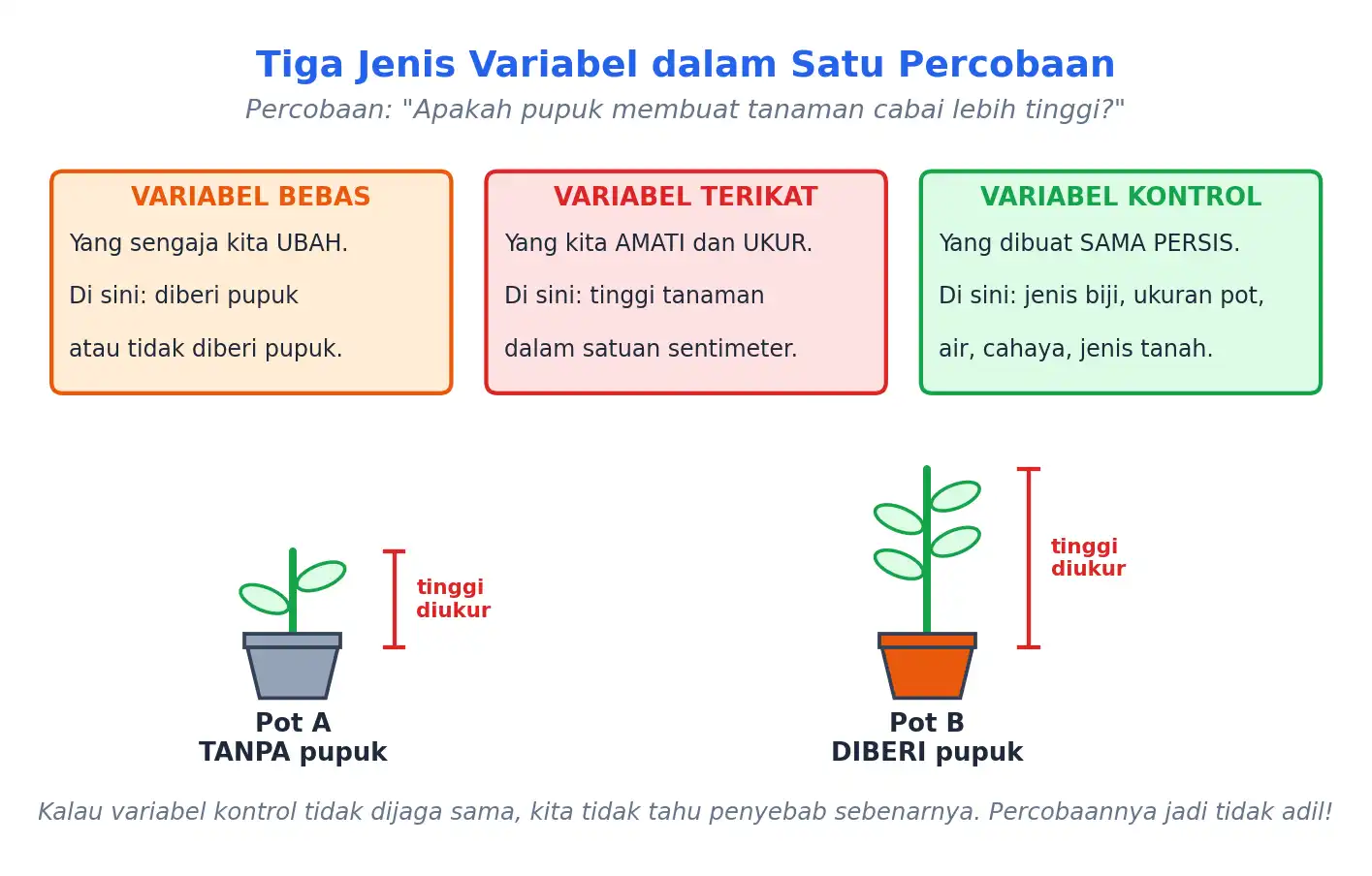Tiga jenis variabel dalam percobaan pupuk pada tanaman cabai