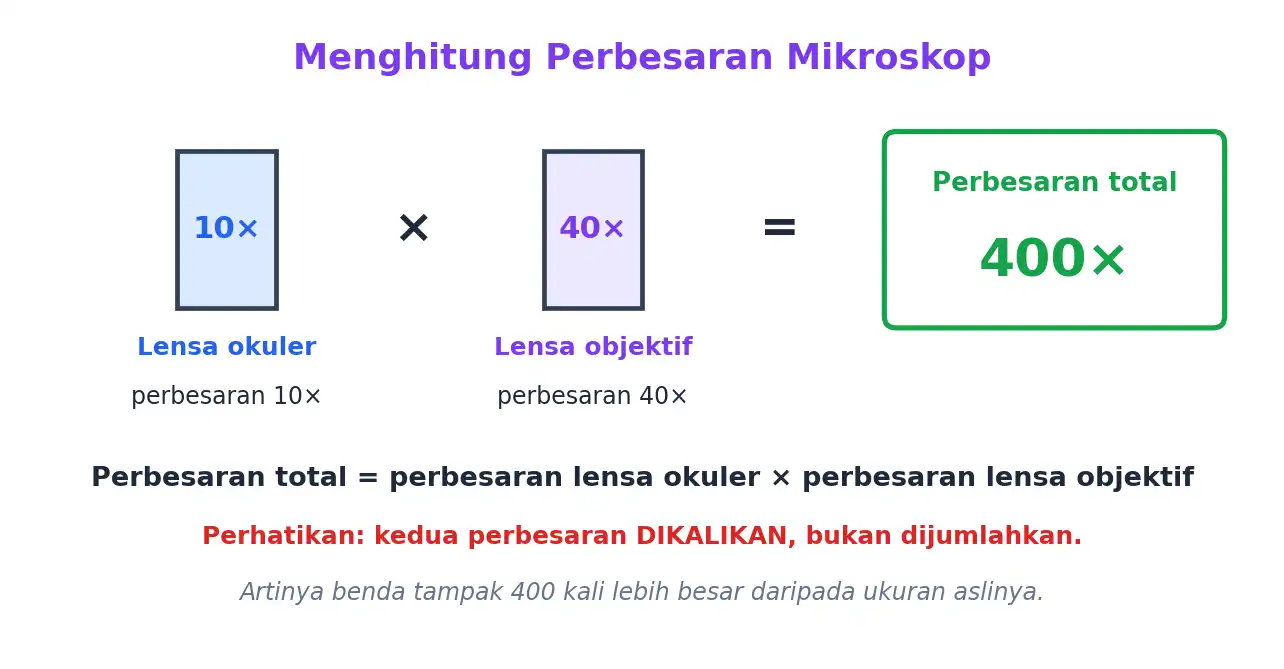 Perbesaran total mikroskop adalah perbesaran okuler dikali perbesaran objektif