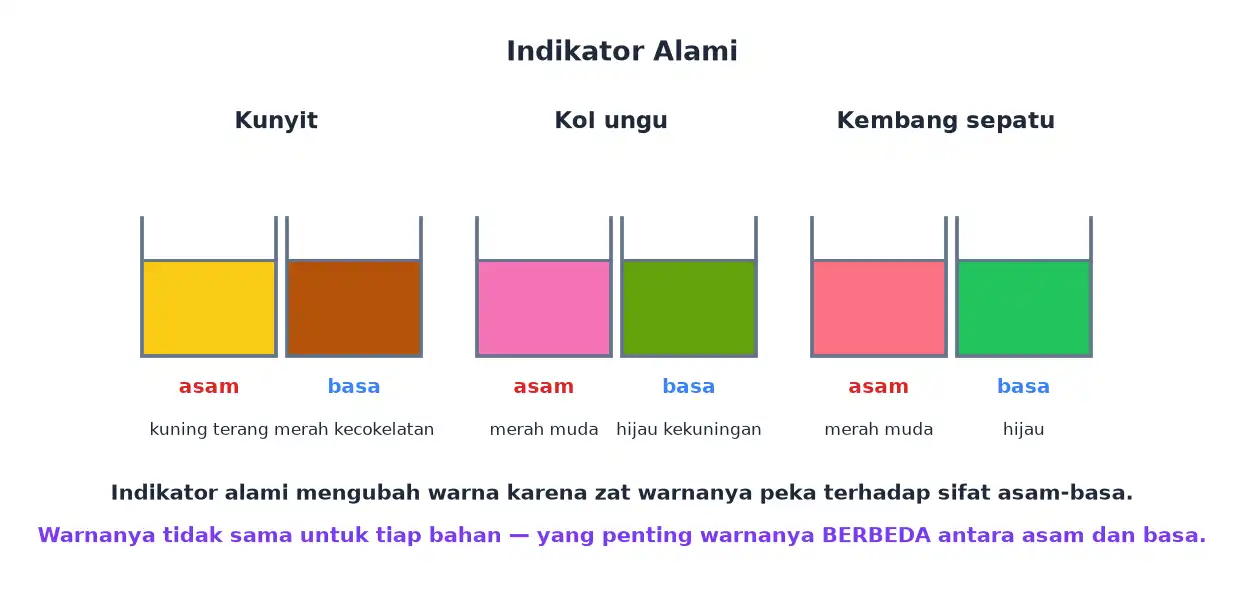 Perubahan warna kunyit kol ungu dan kembang sepatu pada larutan asam dan basa