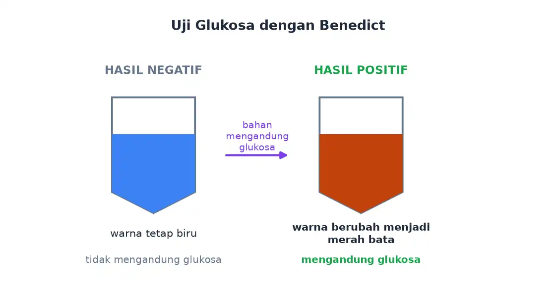 Tabung reaksi berisi Benedict biru pada hasil negatif dan merah bata pada hasil positif glukosa