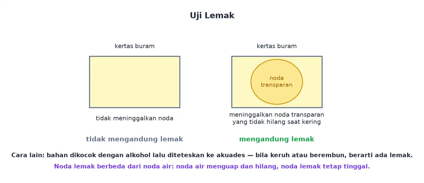 Kertas buram tanpa noda pada bahan tanpa lemak dan dengan noda transparan pada bahan berlemak