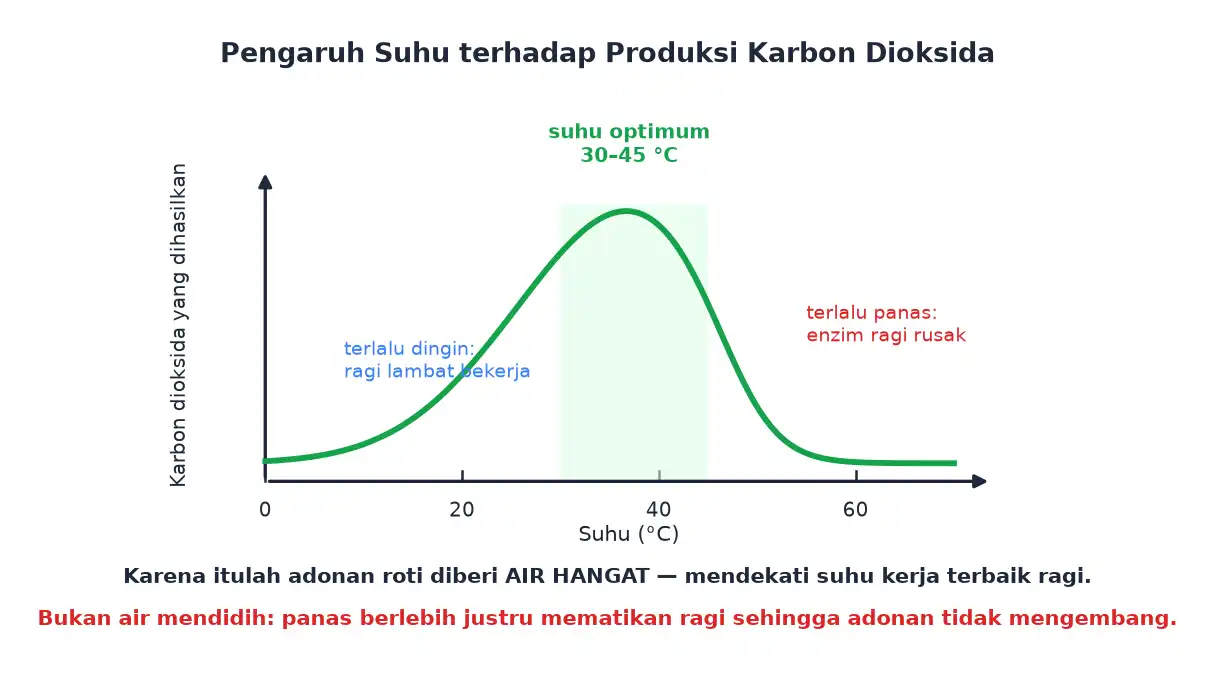 Grafik produksi karbon dioksida yang naik sampai suhu optimum 30 sampai 45 derajat lalu turun tajam