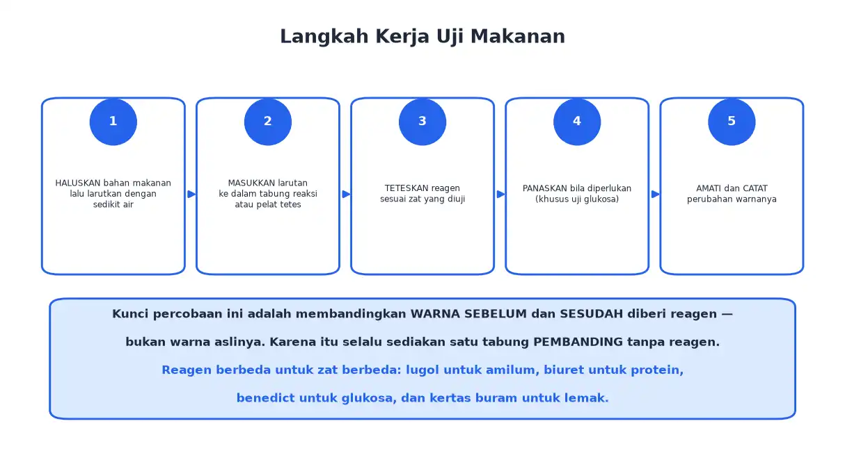 Lima langkah kerja uji makanan dari menghaluskan bahan sampai mencatat perubahan warna