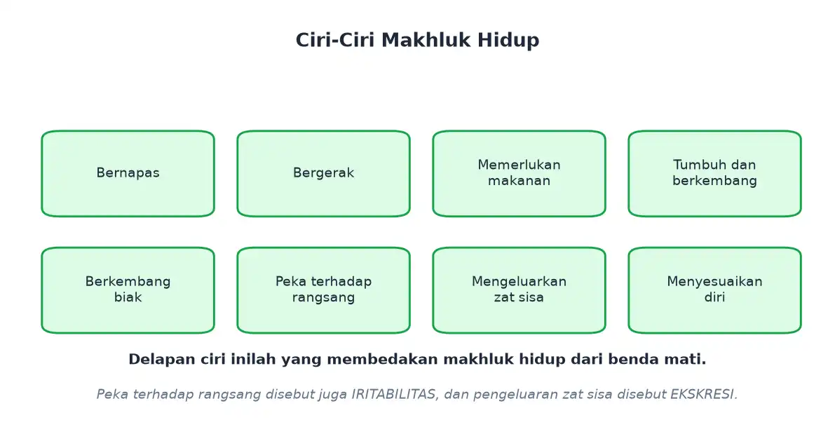 Delapan ciri makhluk hidup mulai bernapas bergerak sampai menyesuaikan diri