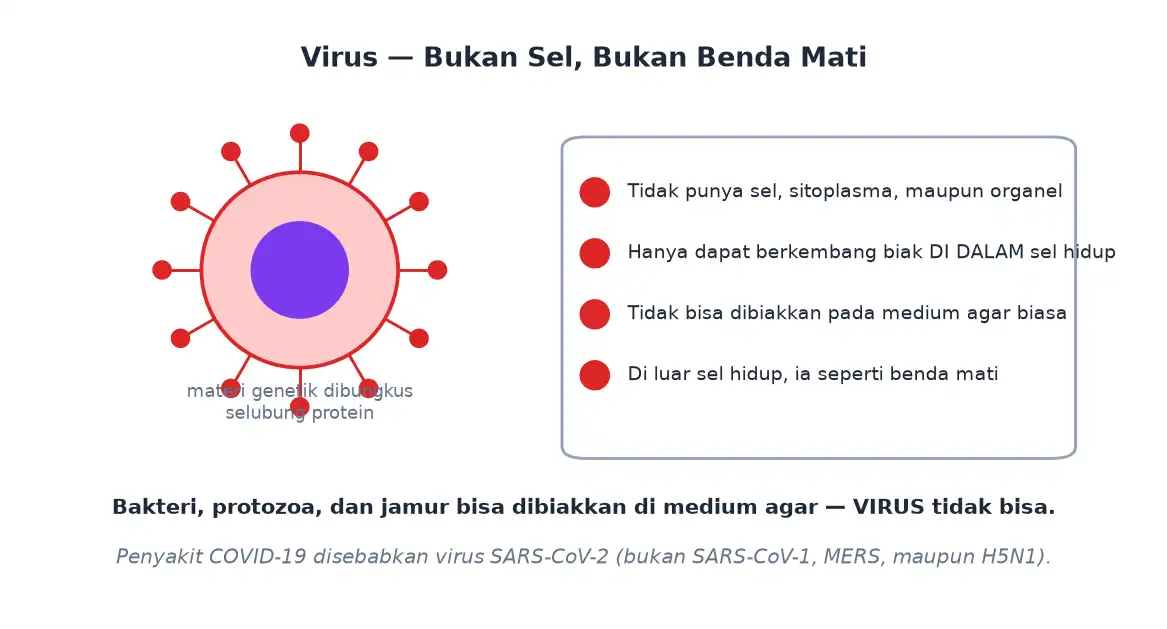 Virus hanya berupa materi genetik berselubung protein dan hanya berkembang biak di sel hidup