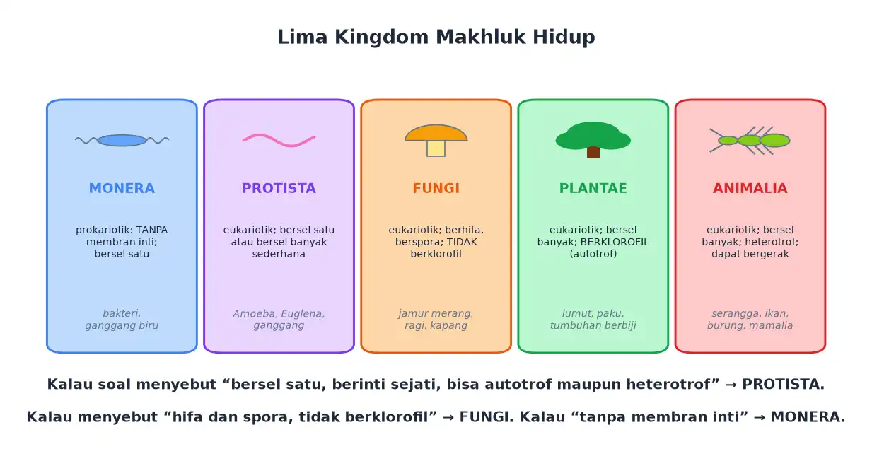Lima kingdom Monera Protista Fungi Plantae dan Animalia beserta cirinya
