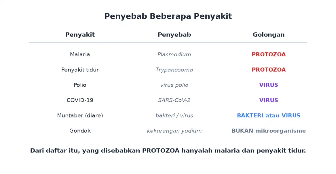 Tabel penyakit dan penyebabnya dari protozoa virus dan bakteri