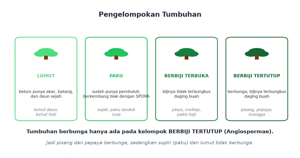Pengelompokan tumbuhan lumut paku berbiji terbuka dan berbiji tertutup