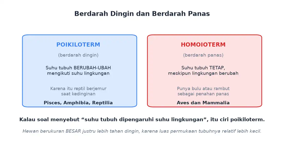 Perbedaan hewan poikiloterm berdarah dingin dan homoioterm berdarah panas
