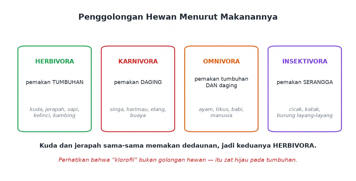 Penggolongan hewan herbivora karnivora omnivora dan insektivora