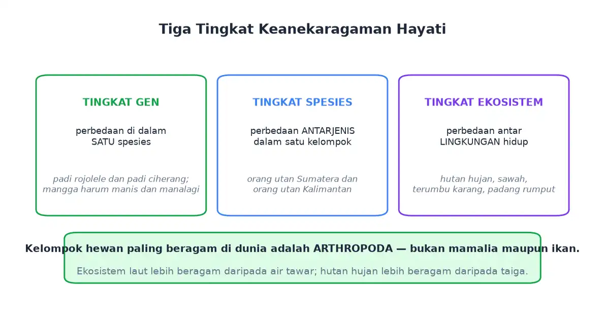 Tiga tingkat keanekaragaman hayati tingkat gen spesies dan ekosistem