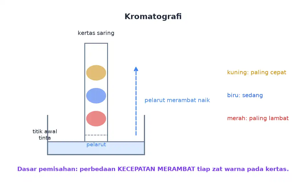 Titik tinta pada kertas saring terurai menjadi beberapa warna dengan ketinggian rambatan berbeda
