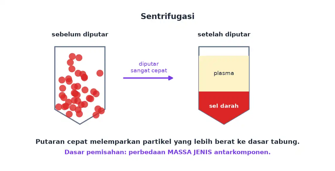 Tabung berisi darah sebelum dan sesudah diputar cepat sehingga sel darah mengendap dan plasma di atas