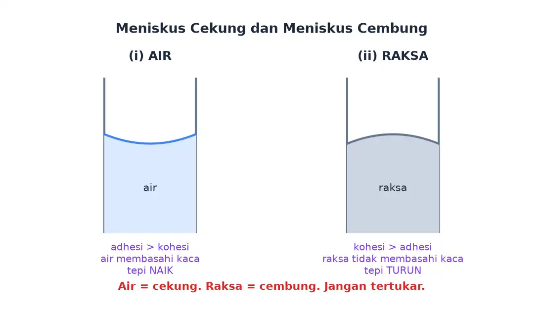 Perbandingan meniskus cekung pada air dan meniskus cembung pada raksa di dalam tabung kaca