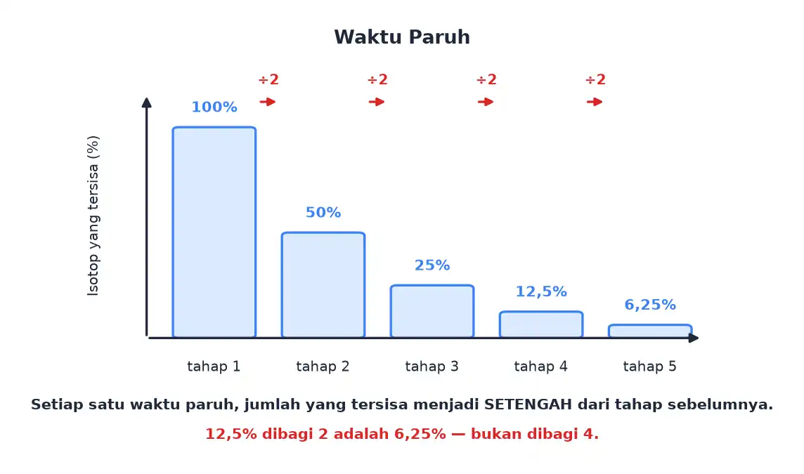 Diagram batang sisa isotop 100 persen 50 persen 25 persen 12,5 persen dan 6,25 persen pada lima tahap peluruhan