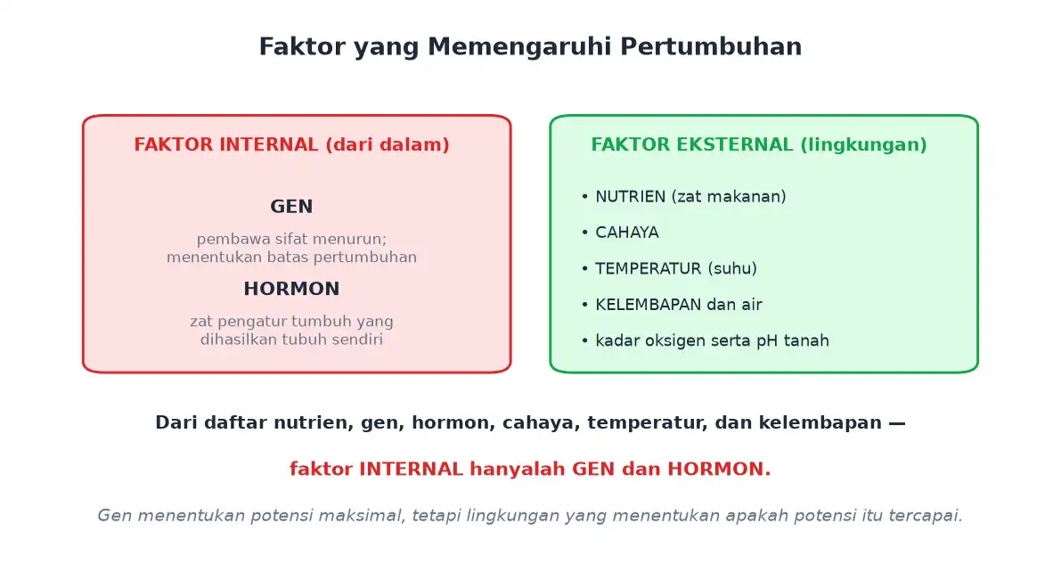 Faktor internal gen dan hormon serta faktor eksternal nutrien cahaya suhu kelembapan