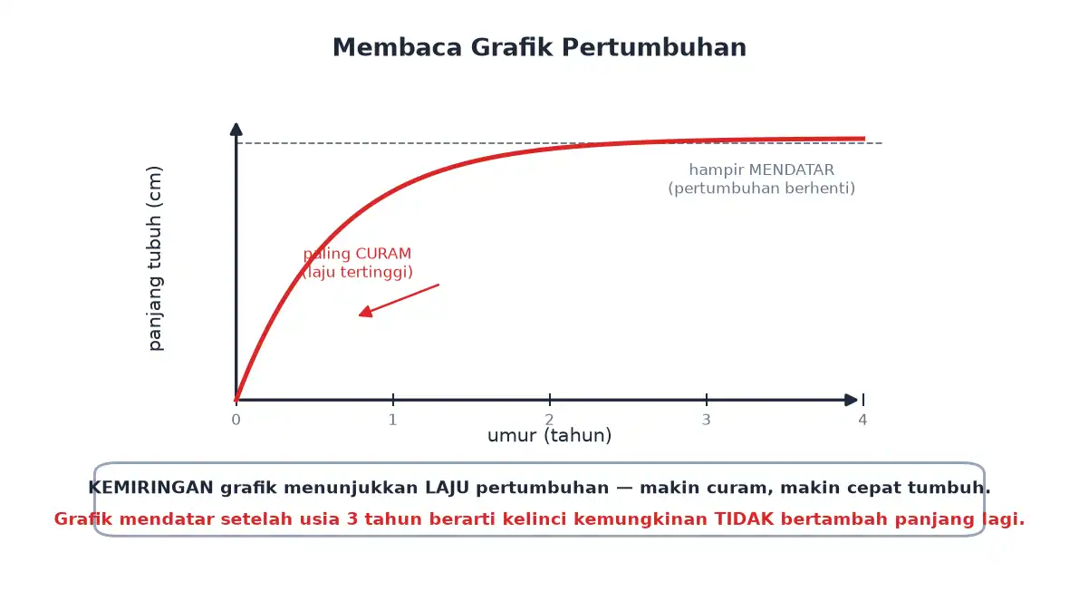Grafik pertumbuhan panjang tubuh terhadap umur dengan bagian curam dan bagian mendatar
