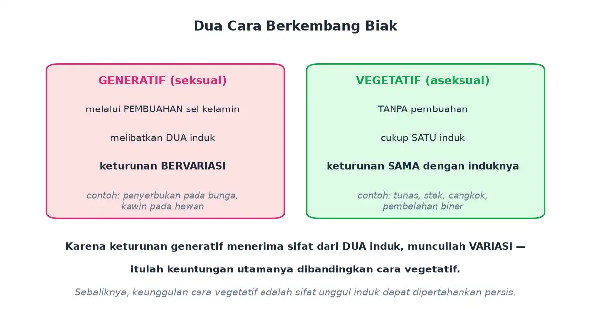 Perbandingan reproduksi generatif seksual dengan vegetatif aseksual