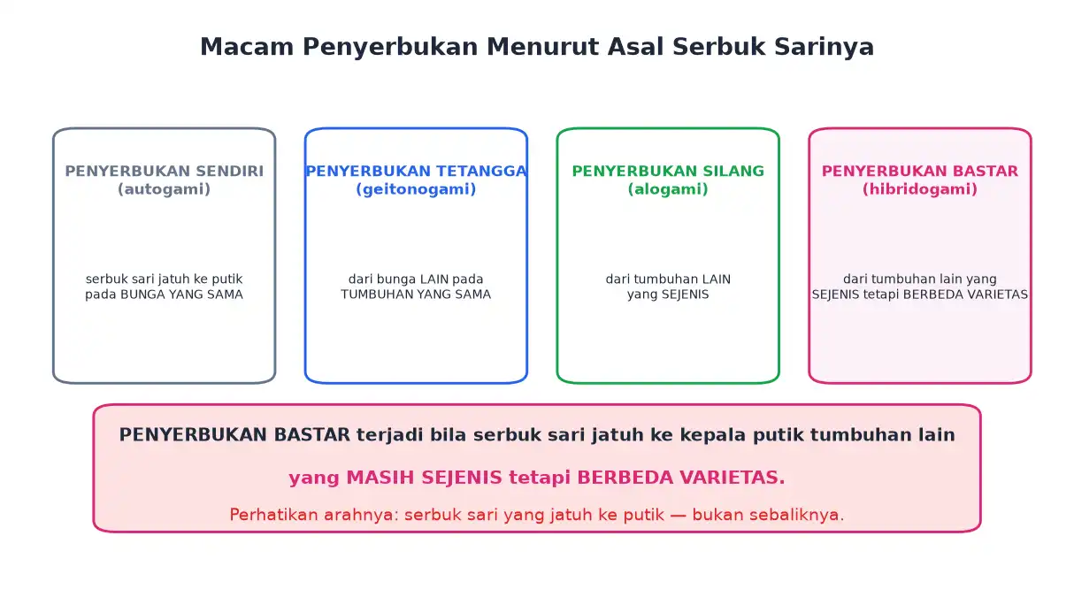 Penyerbukan sendiri tetangga silang dan bastar menurut asal serbuk sarinya