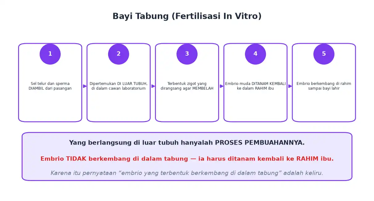 Tahap bayi tabung dari pengambilan sel kelamin pembuahan di cawan sampai embrio ditanam di rahim